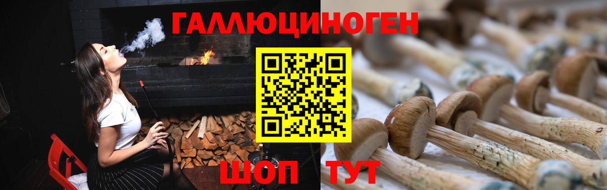 Псилоцибиновые грибы мухоморы Туймазы